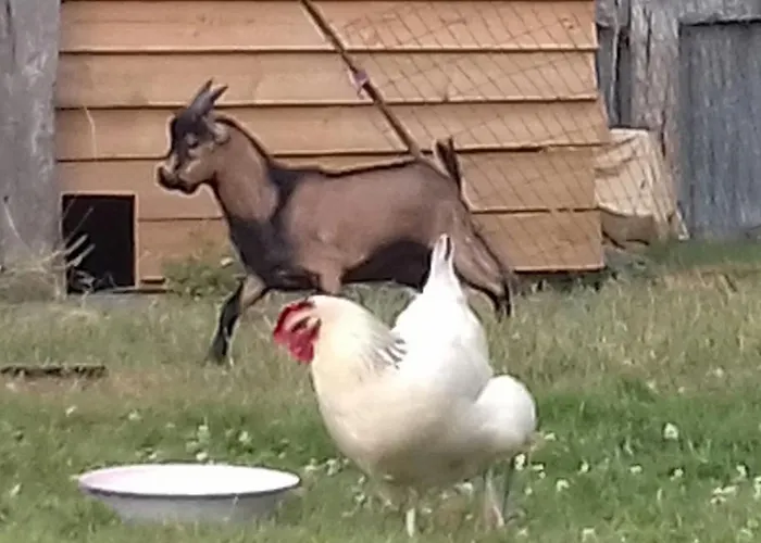 La Parisiere ,gite Сasa de vacaciones